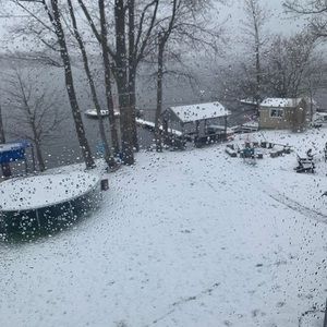 Meet your Posher, Shari